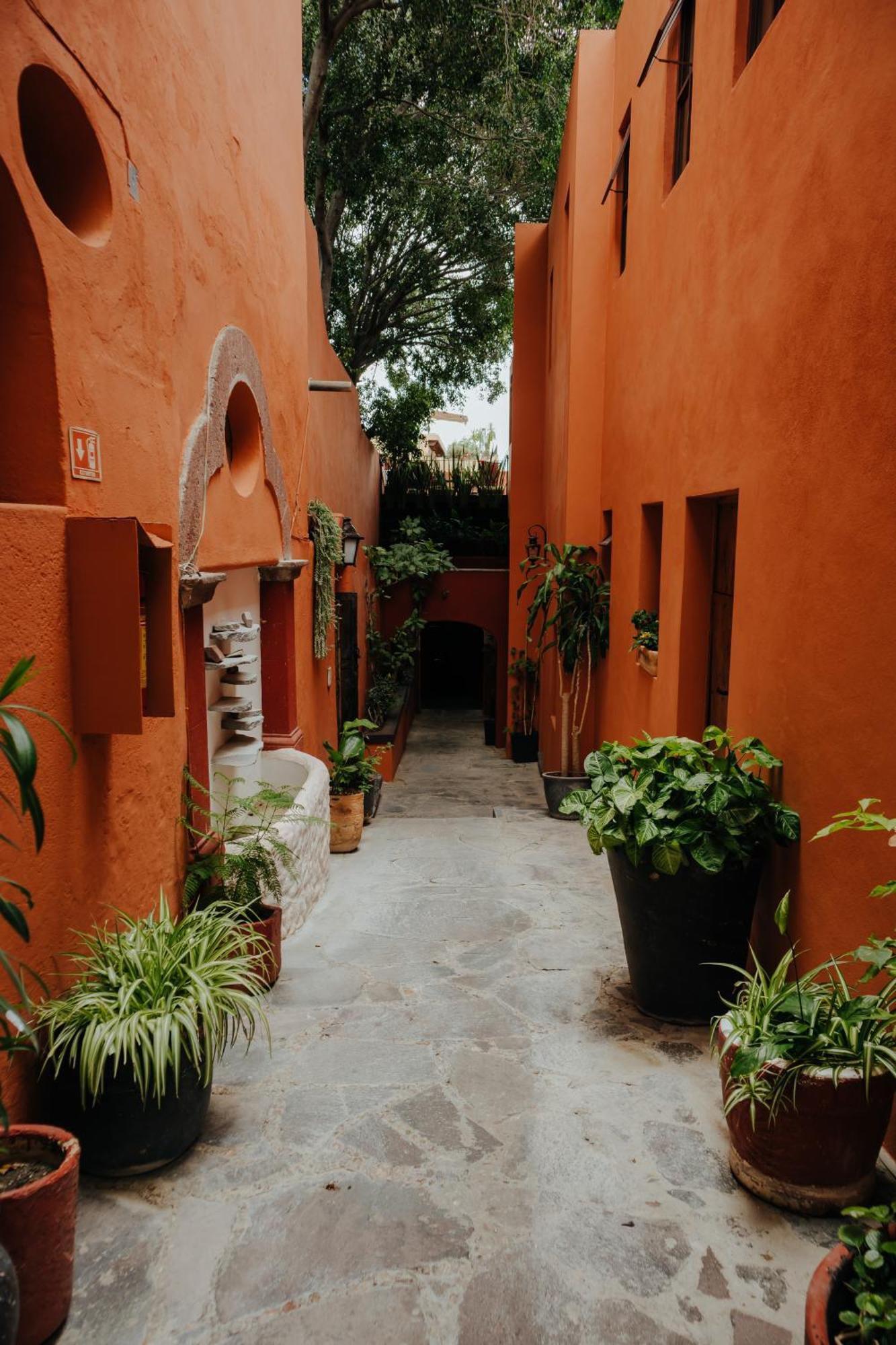 Casa Quetzal